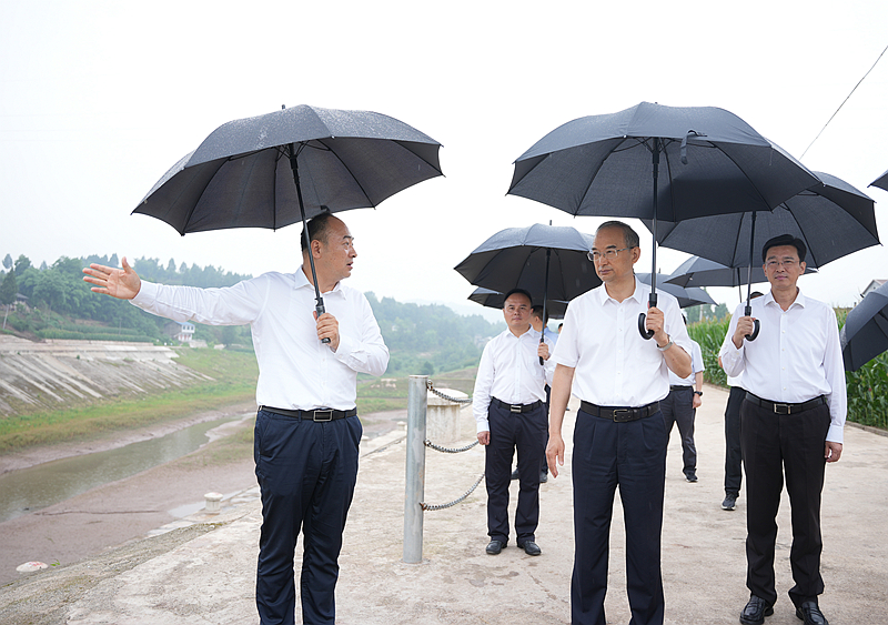 黄强在达州调研时强调
以严细实的作风持续用力推动高质量发展「相关图片」